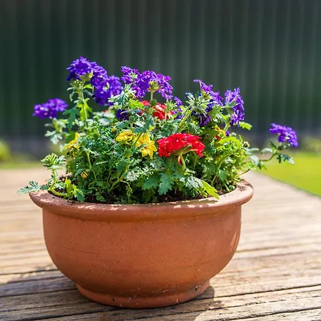 Achter De Vijf Linden 度假居 Knegsel