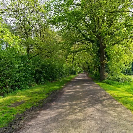 Achter De Vijf Linden *