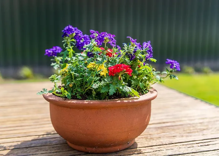 Achter De Vijf Linden Ferienhaus Knegsel