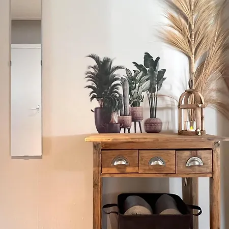 Achter De Vijf Linden Dom wakacyjny *