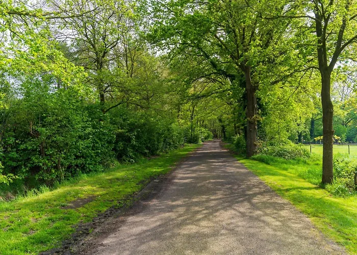 Achter De Vijf Linden *